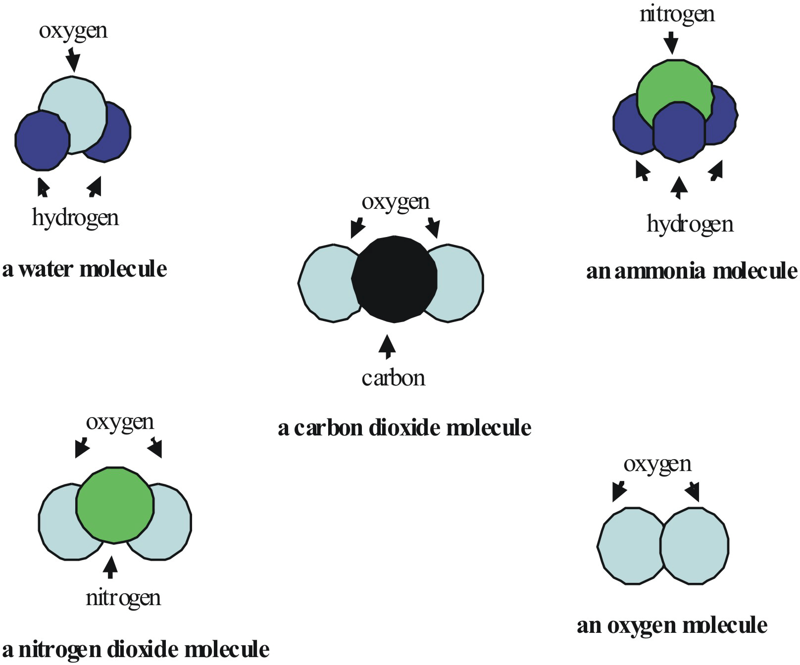 Atomicity of a Molecule